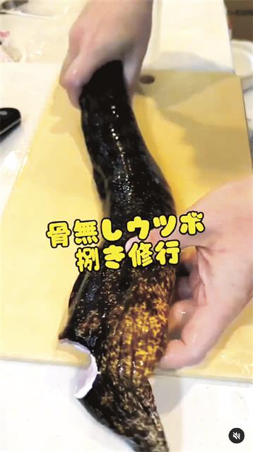 ウツボやアンコウは早送り再生の動画で、捌き方を共有した