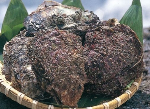 イワガキ　　提供：おいしい山形