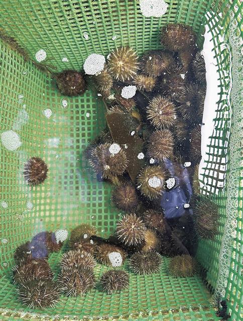 20260608_151516_77887_02.jpg