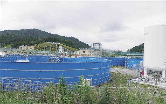 気仙川養魚場