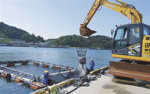 魚が擦れないように丁寧に水揚げ