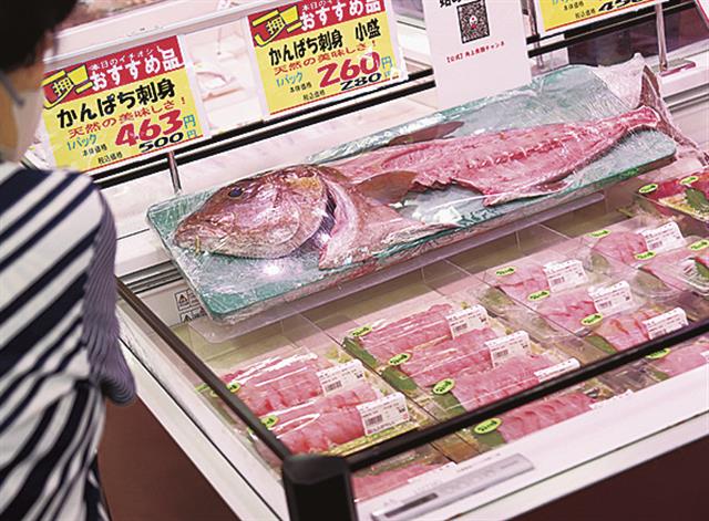 動線の初めのショーケースで出迎える大型魚。捌ける技術も同店の強み