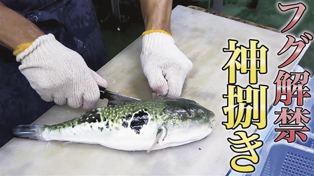 最も反響が大きかった動画